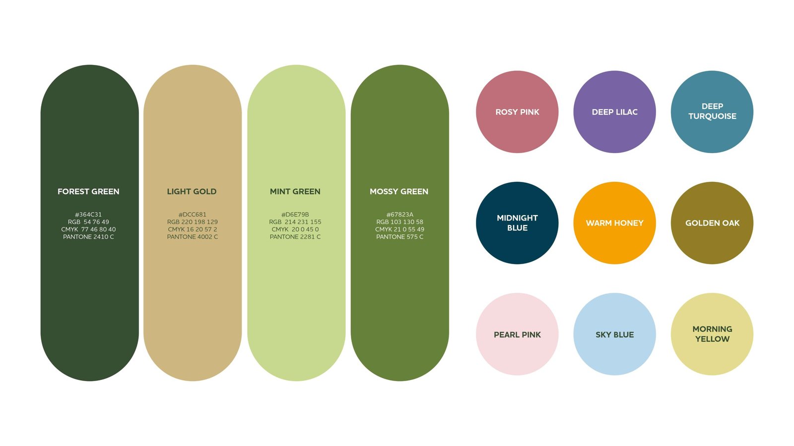 kiilat-creative-forestmd-brand-colours kiilat-creative-forestmd-brand-colours