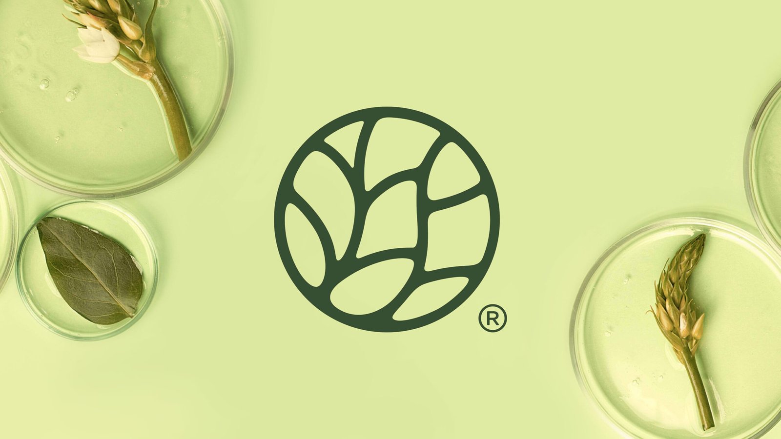 kiilat-creative-forestmd-brand-icon-logo